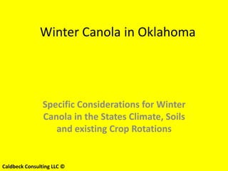 Winter Canola in Oklahoma




                Specific Considerations for Winter
                Canola in the States Climate, Soils
                   and existing Crop Rotations


Caldbeck Consulting LLC ©
 