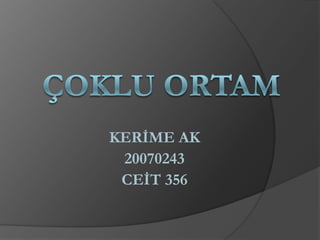 ÇOKLU ORTAM KERİME AK 20070243 CEİT 356 