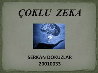 ÇOKLU  ZEKA SERKAN DOKUZLAR 20010033 