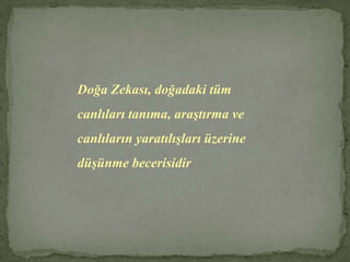 Görsel ve Mekansal Zekaya Sahip İnsanların Özellikleri :Görerek ve gözleyerek öğrenir.
