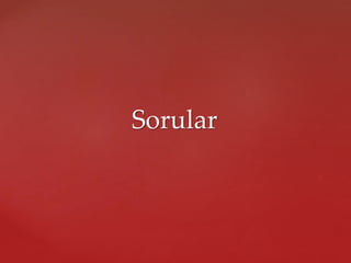 Sorular
 