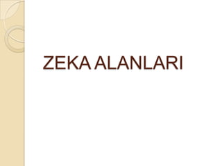 ZEKA ALANLARI