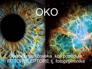Jedini organ čoveka koji poseduje
FOTORECEPTORE tj. fotoprijemnike
OKO
 