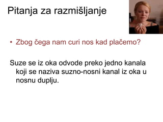 Pitanja za razmišljanje
• Zbog čega nam curi nos kad plačemo?
Suze se iz oka odvode preko jedno kanala
koji se naziva suzno-nosni kanal iz oka u
nosnu duplju.
 