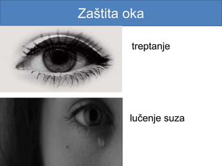Zaštita oka
treptanje
lučenje suza
 