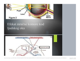 Efekat mračne komore kod
ljudskog oka
https://cdn.fbsbx.com/v/t59.2708-21/18281881_695942740591758_414984647569152…KO-PREZENTACIJA.pptx?oh=2ae3a9a17b1adae8b19a7f1075d01ee1&oe=591D3B93&dl=1 16.05.2017. 19S26
Stranica 13 od 22
 
