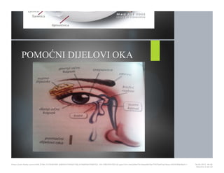 POMOĆNI DIJELOVI OKA
https://cdn.fbsbx.com/v/t59.2708-21/18281881_695942740591758_414984647569152…KO-PREZENTACIJA.pptx?oh=2ae3a9a17b1adae8b19a7f1075d01ee1&oe=591D3B93&dl=1 16.05.2017. 19S26
Stranica 5 od 22
 
