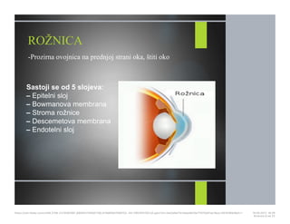 ROŽNICA
-Prozirna ovojnica na prednjoj strani oka, štiti oko
Sastoji se od 5 slojeva:
– Epitelni sloj
– Bowmanova membrana
– Stroma rožnice
– Descemetova membrana
– Endotelni sloj
https://cdn.fbsbx.com/v/t59.2708-21/18281881_695942740591758_414984647569152…KO-PREZENTACIJA.pptx?oh=2ae3a9a17b1adae8b19a7f1075d01ee1&oe=591D3B93&dl=1 16.05.2017. 19S26
Stranica 6 od 22
 