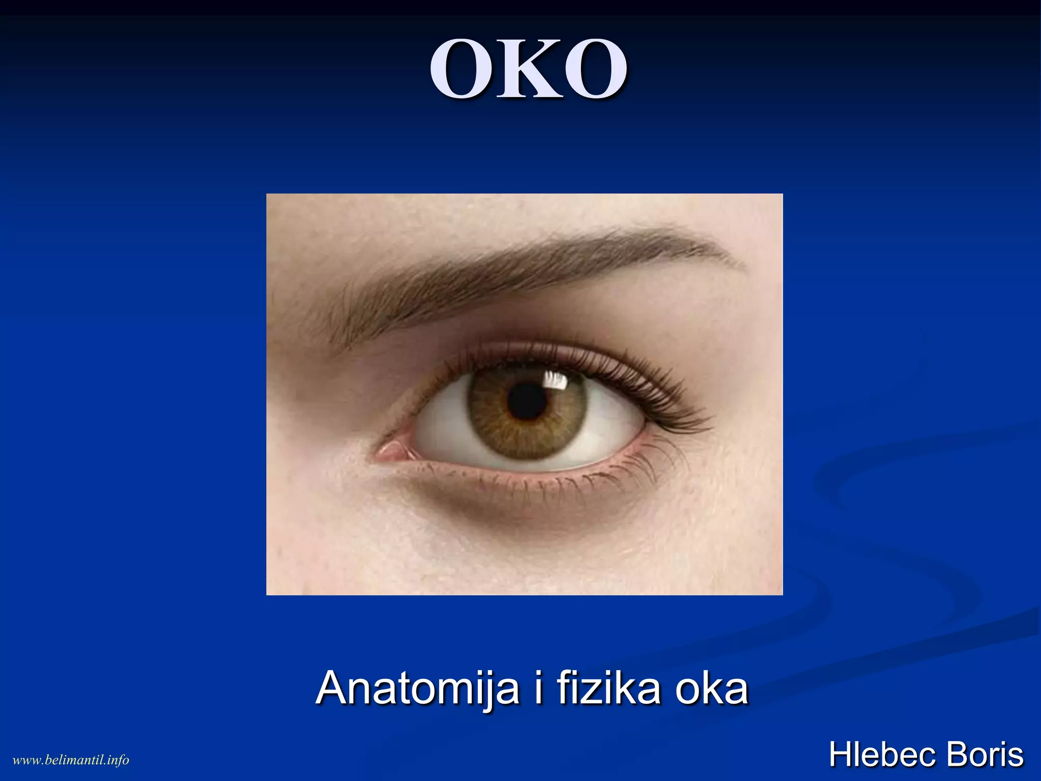 Oko anatomija i fiziologija | PPT