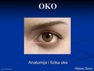OKO 
Anatomija i fizika oka 
www.belimantil.info Hlebec Boris 
 