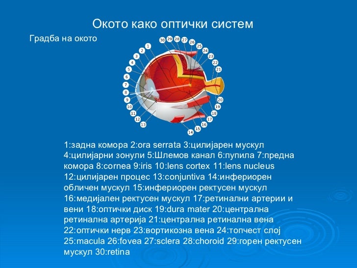 Принцип око за око