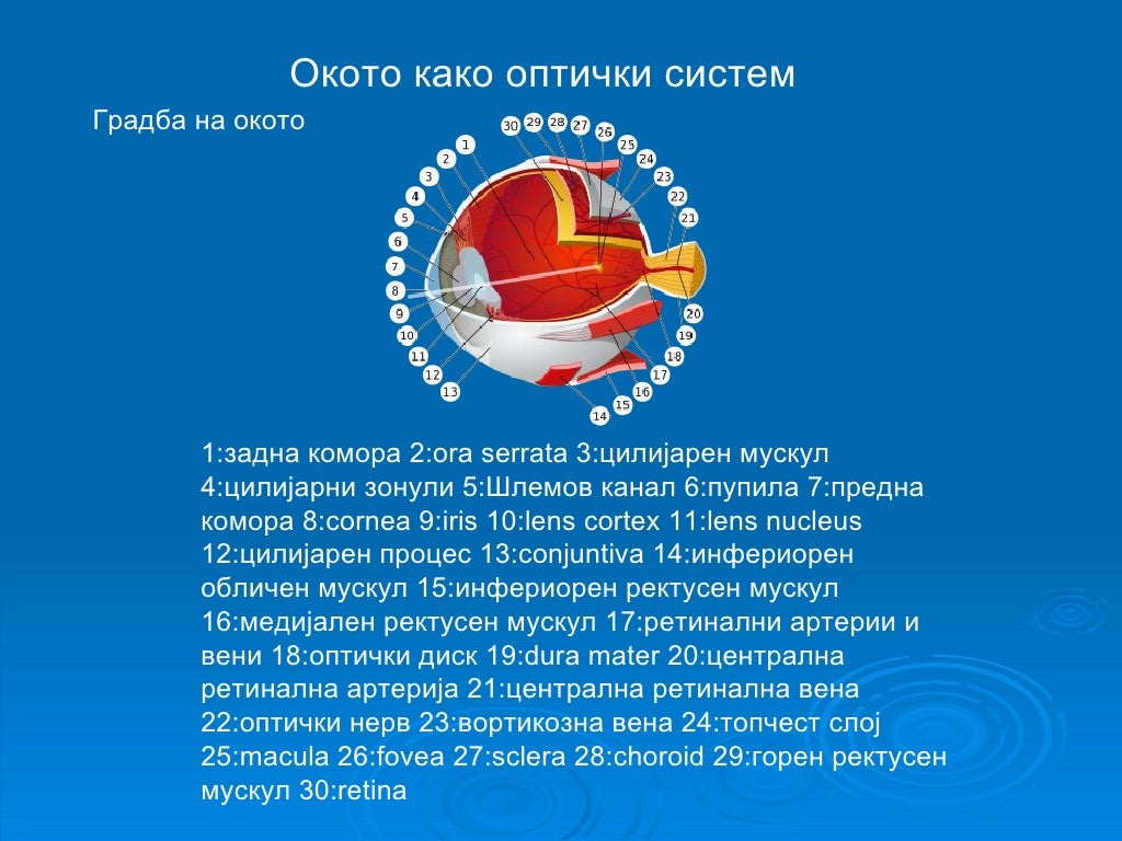 Принцип око за око