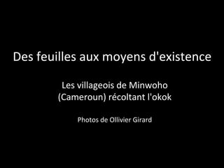 Des	
  feuilles	
  aux	
  moyens	
  d'existence	
  	
  

             Les	
  villageois	
  de	
  Minwoho	
  
            (Cameroun)	
  récoltant	
  l'okok	
  	
  
                                   	
  
                  Photos	
  de	
  Ollivier	
  Girard	
  
 
