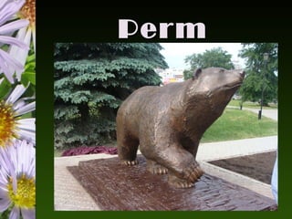 Perm
 