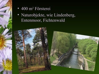• 400 m2 Försterei
• Naturobjekte, wie Lindenberg,
  Entenmoor, Fichtenwald
 