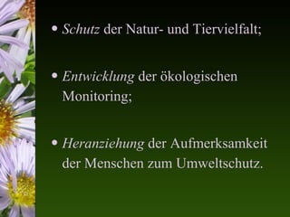 • Schutz der Natur- und Tiervielfalt;


• Entwicklung der ökologischen
  Monitoring;


• Heranziehung der Aufmerksamkeit
  der Menschen zum Umweltschutz.
 