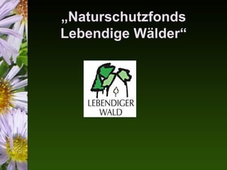 „Naturschutzfonds
Lebendige Wälder“
 