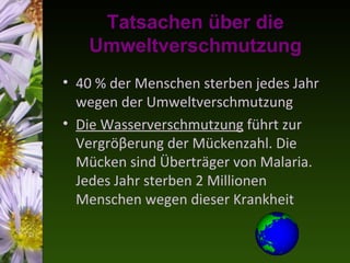 Tatsachen über die
   Umweltverschmutzung
• 40 % der Menschen sterben jedes Jahr
  wegen der Umweltverschmutzung
• Die Wasserverschmutzung führt zur
  Vergröβerung der Mückenzahl. Die
  Mücken sind Überträger von Malaria.
  Jedes Jahr sterben 2 Millionen
  Menschen wegen dieser Krankheit
 