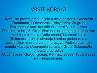 VRSTE KORALA
  Korali se prema građi, dijele u dvije grupe: Hexacoralla
      (Zoantharia) i Octacoralla (Alcynaria). Za grupu
     Hexacoralla karakterističan je broj 6, a za grupu
Octacoralla broj 8. Grupi Hexacoralla pripadaju u tropskim
      morima crni korali (Antipatharia) i kameni korali
     (Scleroderma) koji stvaraju koralne grebene, a u
  Jadranskom moru crvena moruzgva (Actinia equina) i
  smeđa vlasulja (Anemonia sulcata). Grupi Octacoralla
                     pripadaju porodice
Alcyonaceae, Gorgoniaceae, Pennatulaceae, Tubiporacea
                     e i Helioporaceae.
 