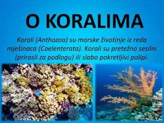 O KORALIMA
   Korali (Anthozoa) su morske životinje iz reda
mješinaca (Coelenterata). Korali su pretežno sesilni
  (prirasli za podlogu) ili slabo pokretljivi polipi.
 