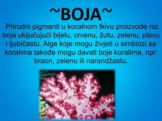 ~BOJA~
 Prirodni pigmenti u koralnom tkivu proizvode niz
boja uključujući bijelu, crvenu, žutu, zelenu, plavu
 i ljubičastu. Alge koje mogu živjeti u simbiozi sa
 koralima takođe mogu davati boje koralima, npr.
           braon, zelenu ili narandžastu.
 