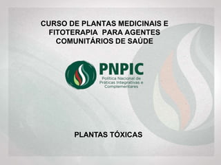 CURSO DE PLANTAS MEDICINAIS E
FITOTERAPIA PARA AGENTES
COMUNITÁRIOS DE SAÚDE
PLANTAS TÓXICAS
 