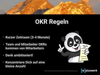 OKR Regeln
• Kurzer Zeitraum (3-4 Monate)
• Team und Mitarbeiter OKRs
kommen von Mitarbeitern
• Denk ambitioniert!
• Konzentriere Dich auf eine
kleine Anzahl
https://himmelskindponiloﬁ.ﬁles.wordpress.com/2010/03/pandarules.png
 