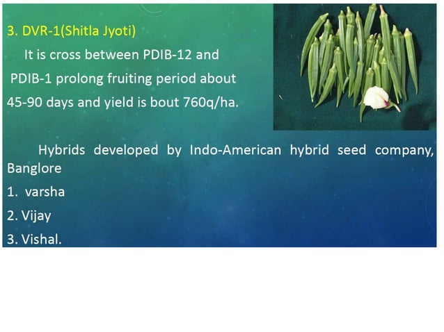 okra-ppt