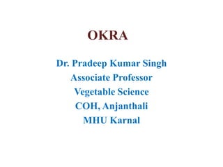 OKRA
Dr. Pradeep Kumar Singh
Associate Professor
Vegetable Science
COH, Anjanthali
MHU Karnal
 