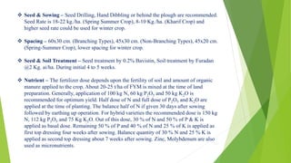  Seed & Sowing – Seed Drilling, Hand Dibbling or behind the plough are recommended.
Seed Rate is 18-22 kg./ha. (Spring Summer Crop), 8-10 Kg./ha. (Kharif Crop) and
higher seed rate could be used for winter crop.
 Spacing – 60x30 cm. (Branching Types), 45x30 cm. (Non-Branching Types), 45x20 cm.
(Spring-Summer Crop), lower spacing for winter crop.
 Seed & Soil Treatment – Seed treatment by 0.2% Bavistin, Soil treatment by Furadan
@2 Kg. ai/ha. During initial 4 to 5 weeks.
 Nutrient – The fertilizer dose depends upon the fertility of soil and amount of organic
manure applied to the crop. About 20-25 t/ha of FYM is mixed at the time of land
preparation. Generally, application of 100 kg N, 60 kg P2O5 and 50 kg K2O is
recommended for optimum yield. Half dose of N and full dose of P2O5 and K2O are
applied at the time of planting. The balance half of N if given 30 days after sowing
followed by earthing up operation. For hybrid varieties the recommended dose is 150 kg
N, 112 kg P2O5 and 75 Kg K2O. Out of this dose, 30 % of N and 50 % of P & K is
applied as basal dose. Remaining 50 % of P and 40 % of N and 25 % of K is applied as
first top dressing four weeks after sowing. Balance quantity of 30 % N and 25 % K is
applied as second top dressing about 7 weeks after sowing. Zinc, Molybdenum are also
used as micronutrients.
 