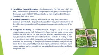  Use of Plant Growth Regulators – Seed treatment by GA (400 ppm.), IAA 920
ppm.) enhanced seed germination, Ethephon (100-500 ppm.) weakened apical
dominance, Cycocel (1000-1500 ppm.) reduced plant height and @ 100 ppm.
Enhanced shelf life of fruits.
 Maturity Standards – A variety with over 16 cm. long fruits could reach
maximum growth at 28.1 degree C in 8 days of flowering, harvest maturity at 5-6
days, fibre development beyond 7 days & maximum growth rate between 4th to
6th day.
 Storage and Marketing – It could be stored at 7-9 degree C & 70-75% RH. For
processing purpose and fresh fruits export 6-8 cm. fruits are sorted out and longer
fruits are for fresh market. For local markets, fruits are cooled and filled in jute
bags, covered and then water sprinkled over them. This helps in cooling as well
as in turgidity of fruits which tightens the pack and saves products from bruises,
blemishes and blackening. In air tight containers the fruits may turn pale during
transit due to heat generated by fruits. For export, suitable size perforated paper
cartons are taken and pre-cooled fruits are packed and transported preferably in
refrigerated vans.
 