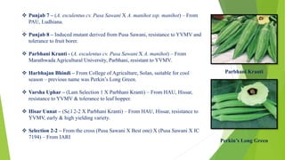  Punjab 7 – (A. esculentus cv. Pusa Sawani X A. manihot ssp. manihot) – From
PAU, Ludhiana.
 Punjab 8 – Induced mutant derived from Pusa Sawani, resistance to YVMV and
tolerance to fruit borer.
 Parbhani Kranti - (A. esculentus cv. Pusa Sawani X A. manihot) – From
Marathwada Agricultural University, Parbhani, resistant to YVMV.
 Harbhajan Bhindi – From College of Agriculture, Solan, suitable for cool
season – previous name was Perkin’s Long Green.
 Varsha Uphar – (Lam Selection 1 X Parbhani Kranti) – From HAU, Hissar,
resistance to YVMV & tolerance to leaf hopper.
 Hisar Unnat – (Se.l 2-2 X Parbhani Kranti) – From HAU, Hissar, resistance to
YVMV, early & high yielding variety.
 Selection 2-2 – From the cross (Pusa Sawani X Best one) X (Pusa Sawani X IC
7194) – From IARI
Parbhani Kranti
Perkin’s Long Green
 