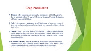 Crop Production
 Climate – Hot humid season, favourable temperature – 25 to 35 degree C,
fail to germinate below 17 degree C & above 42 degree C causes desiccation
of flower buds and yield loss.
 Soil – It is grown on a wide range of soil but because of it tap root system it
does best on light, well drained, loose friable, well manured soil & pH should
be 6 to 6.8.
 Season – June – July (as a Kharif Crop), February – March (Spring-Summer
Crop) in eastern states, November sowing (Winter Crop) is done in northern
states as there is mild winter, Mid August sowing (Late Kharif Crop) is done
in northern plains.
 Cropping System – Potato-Carrot-Okra, Okra-Potato-Tomato (Sequential
Cropping) gives 300% cropping intensity; Okra+French Bean, Okra+Radish
(Intercropping) gives 193% outyield as compared with sole crops.
 