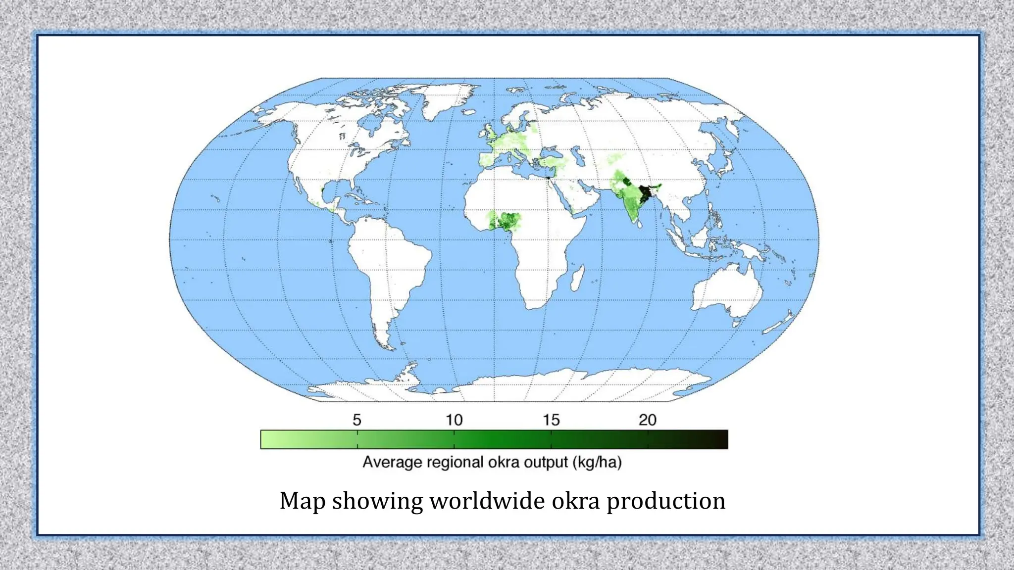 Map showing worldwide okra production
 