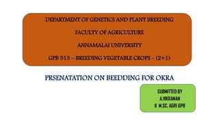 DEPARTMENT OF GENETICS AND PLANT BREEDING
FACULTY OF AGRICULTURE
ANNAMALAI UNIVERSITY
GPB 513 – BREEDING VEGETABLE CROPS - (2+1)
PRSENATATION ON BEEDDING FOR OKRA
SUBMITTED BY
A.VIKRAMAN
II M.SC. AGRI GPB
 