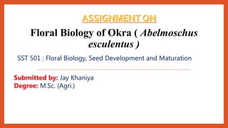 Floral Biology of Okra ( Abelmoschus
esculentus )
1
Submitted by: Jay Khaniya
Degree: M.Sc. (Agri.)
SST 501 : Floral Biology, Seed Development and Maturation
 