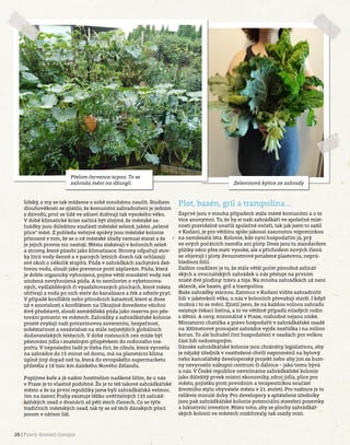 26 | Pravý domácí časopis
lidský, a my se tak můžeme o sobě mnohému naučit. Studiem
dlouhověkosti se zjistilo, že komunitní zahradničení je jedním
z důvodů, proč se lidé ve zdraví dožívají tak vysokého věku.
V době klimatické krize začíná být zřejmé, že městské za-
hrádky jsou důležitou součástí městské zeleně, jakési „zelené
plíce“ měst. Z pohledu veřejné správy jsou městské kolonie
přínosné v tom, že se o ně městské úřady nemusí starat a že
je jejich provoz nic nestojí. Města získávají v koloniích zeleň
a stromy, které působí jako klimatizace. Stromy odpařují stov-
ky litrů vody denně a v parných letních dnech tak ochlazují
své okolí o několik stupňů. Půda v zahrádkách zachytává deš-
ťovou vodu, slouží jako prevence proti záplavám. Půda, která
je dobře organicky vyhnojená, pojme větší množství vody než
utužená nevyhnojená půda. A to nemluvím o vybetonova-
ných, vydlážděných či vyasfaltovaných plochách, které města
ohřívají a voda po nich steče do kanalizace a řek a odteče pryč.
V případě konfliktů nebo přírodních katastrof, které si dnes
už v souvislosti s konfliktem na Ukrajině dovedeme všichni
živě představit, slouží zemědělská půda jako rezerva pro pěs-
tování potravin ve městech. Zahrádky a zahrádkářské kolonie
prostě zvyšují naši potravinovou suverenitu, bezpečnost,
soběstačnost a nezávislost na stále nejistějších globálních
dodavatelských řetězcích. V době rostoucích cen může být
pěstování jídla i znatelným příspěvkem do rodinného roz-
počtu. V neposlední řadě je třeba říct, že cibule, která vyrostla
na zahrádce do 15 minut od domu, má na planetární klima
úplně jiný dopad než ta, která do evropského supermarketu
přiletěla z 18 tisíc km dalekého Nového Zélandu.
Popíjíme kafe a já našim hostitelům nadšeně líčím, že u nás
v Praze je to vlastně podobné. Že je to též takové zahrádkářské
město a že za první republiky jsme byli zahrádkářská velmoc.
Jen na území Prahy existuje těžko uvěřitelných 135 zahrád-
kářských osad o dvanácti až pěti stech členech. Co se týče
tradičních městských osad, tak ty se od těch dánských přeci
jenom v něčem liší.
Plot, bazén, gril a trampolína…
Zaprvé jsou v mnoha případech stále méně komunitní a o to
více anonymní. To, že by si naši zahrádkáři ve společné míst-
nosti pravidelně uvařili společně večeři, tak jak jsem to zažil
v Kodani, je pro většinu spíše jakousi zasunutou vzpomínkou
na osmdesátá léta. Kolonie, kde nyní hospodařím já, prý
ve svých počátcích neměla ani ploty. Dnes jsou tu standardem
plůtky něco přes metr vysoké, ale s příchodem nových členů
se objevují i ploty dvoumetrové potažené plastovou, neprů-
hlednou fólií.
Dalším rozdílem je to, že stále větší počet původně zelinář-
ských a ovocnářských zahrádek u nás pěstuje na prvním
místě dvě plodiny: trávu a túje. Na mnoha zahrádkách už není
skleník, ale bazén, gril a trampolína.
Naše zahrádky stárnou. Zatímco v Kodani vidíte zahradničit
lidi v jakémkoli věku, u nás v koloniích převažují starší. I když
možná i to se mění. Zjistil jsem, že na každou volnou zahradu
existuje čekací listina, a to ve většině případů mladých rodin
s dětmi. A ceny, minimálně v Praze, rozhodně nejsou nízké.
Miniaturní chatička a právo hospodařit v zahrádkářské osadě
na 300metrové pronajaté zahrádce vyjde nezřídka i na milion
korun. To ale bohužel činí hospodaření v osadách pro velkou
část lidí nedostupným.
Dánské zahrádkářské kolonie jsou chráněny legislativou, aby
je nějaký úředník v nestřežené chvíli neproměnil na bytový
nebo kancelářský developerský projekt nebo aby jim za hum-
ny nevyrostlo nákupní centrum či dálnice – jako tomu bývá
u nás. V České republice nevnímáme zahrádkářské kolonie
jako důležitý prvek místní ekonomiky, zdroj jídla, plíce pro
město, pojistku proti povodním a terapeutickou součást
životního stylu obyvatele města v 21. století. Pro našince je to
relikvie minulé doby. Pro developery a spřátelené úředníky
jsou pak zahrádkářské kolonie potenciální stavební pozemky
a lukrativní investice. Místo toho, aby se plochy zahrádkář-
ských kolonií ve městech rozšiřovaly, tak osady mizí.
Přelom července/srpna. To se
zahrada mění na džungli. Zeleninová kytice ze zahrady
 