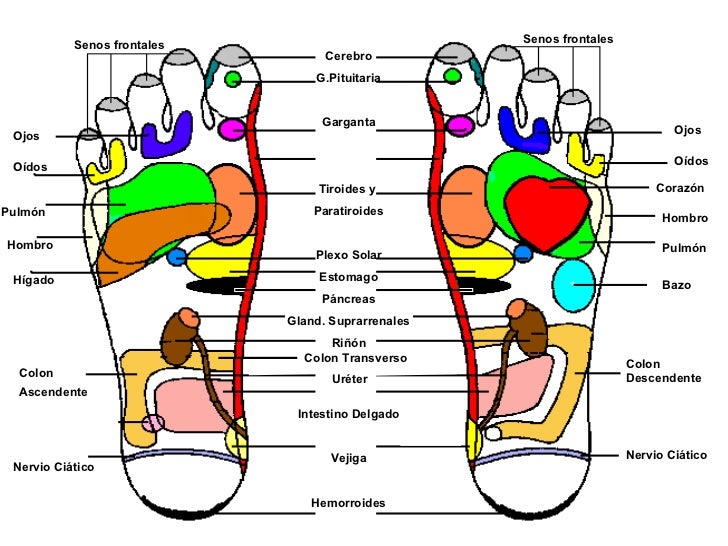 reflexologia podal ovarios