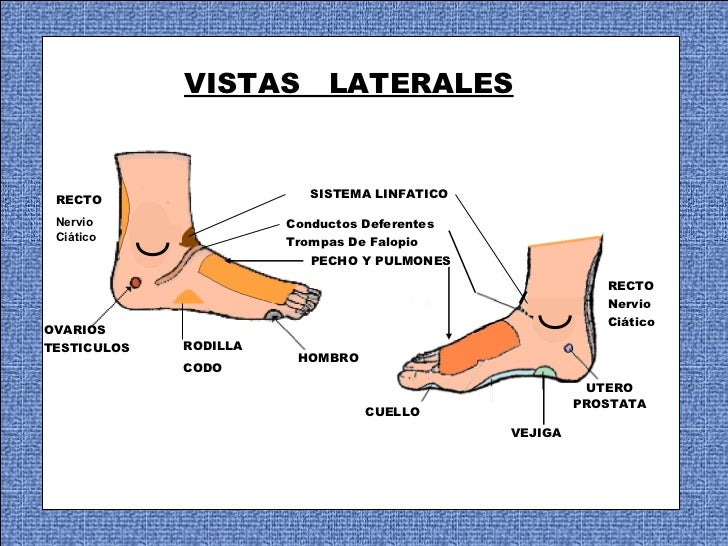 reflexologia podal ovarios