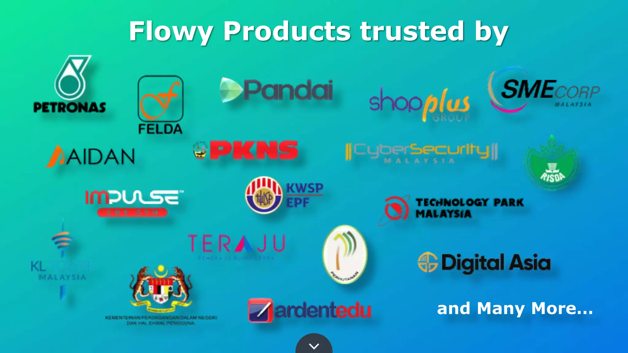 Flowy Products trusted by
and Many More…
