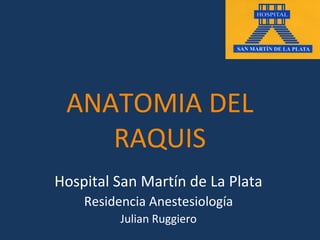 ANATOMIA DEL
    RAQUIS
Hospital San Martín de La Plata
    Residencia Anestesiología
          Julian Ruggiero
 
