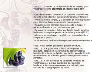 Exo. 12:2 Este mes os será principio de los meses; para
vosotros será éste el primero en los meses del año.
•Cada familia tenia que tomar un cordero, sin defecto y
matarlo junto a todo el pueblo de Israel al caer la tarde.
•Y tomarán de la sangre, y la pondrán en los dos postes y
en el dintel de las casas en que lo han de comer.
•Y aquella noche comerán la carne asada al fuego, y
panes sin levadura; con hierbas amargas.
•Y esa noche pasaría el Señor por Egipto dando su juicio
hiriendo a todo primogénito de hombre y animal(12:12)
•Menos a los que hayan cumplido con el mandato de la
sangre en la puerta.
•V.14 y ese día será recordado perpetuamente como fiesta
.
•V15. 7 días tenían que comer pan sin levadura.
•Exo. 12:17 Y guardaréis la fiesta de los panes sin
levadura, porque en este mismo día saqué vuestras
huestes de la tierra de Egipto; por tanto, guardaréis este
mandamiento en vuestras generaciones por costumbre
perpetua.
•Exo. 12:19 Por siete días no se hallará levadura en
vuestras casas; porque cualquiera que comiere
leudado, así extranjero como natural del país, será
cortado de la congregación de Israel.

 