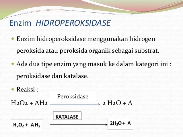 Aplikasi Proses Oksidasi Biologi