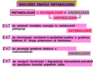 Oksidativni metabolizam