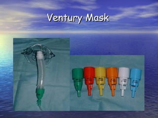 Ventury Mask

 
