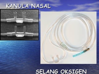 KANULA NASAL

SELANG OKSIGEN

 