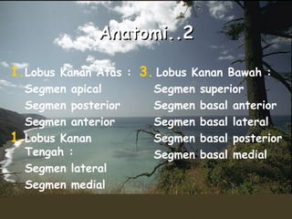 Anatomi..2
1.Lobus Kanan Atas : 3. Lobus Kanan Bawah :
Segmen apical
Segmen posterior
Segmen anterior
1.Lobus Kanan
Tengah :
Segmen lateral
Segmen medial

Segmen
Segmen
Segmen
Segmen
Segmen

superior
basal anterior
basal lateral
basal posterior
basal medial

 