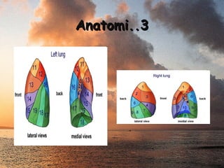 Anatomi..3

 