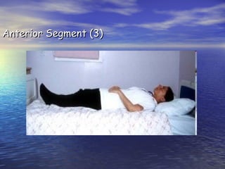 Anterior Segment (3)

 