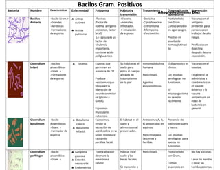 Altagracia Jiménez Díaz 
Bacilos Gram. Positivos 
Bacteria Nombre Características Enfermedad Patogenia Hábitat y 
transmisión 
Tratamiento Diagnostico de 
laboratorio 
Prevención 
Bacillus 
Antracis 
-Bacilo Gram.+ 
-Grandes 
-Aeróbicos 
-Formadores 
de esporas 
§ Ántrax 
cutáneo 
§ Ántrax 
pulmonar 
-Toxinas 
(factor de 
edema, antígeno 
protector, factor 
letal). 
La capsula es un 
factor de 
virulencia 
importante, 
contiene acido 
poliglutamico 
-El suelo. 
-Animales 
infectados. 
-E inhalación 
de esporas 
-Doxiclina 
-Ciprofloxacina 
-Eritromicina 
-Rifampicina 
-Vancomicina 
Frotis teñido 
con Gram.. 
Cultivo aerobio 
en agar sangre. 
Positivo en 
prueba de 
hemoaglutinaci 
ón 
Vacuna con el 
antígeno 
protector para 
personas con 
trabajos de alto 
riesgo. 
Profilaxis con 
doxiclina 
después de una 
exposición. 
Clostridium 
tetani 
-Bacilos 
anaeróbicos 
-Gram. + 
-Formadores 
de esporas 
§ Tétanos Esporas que 
germinan en 
ausencia de O2. 
Produce 
exotoxinas que 
bloquean la 
liberación de 
neurotransmisor 
es (glicina y 
GABA). 
Espasmos 
musculares 
extremos. 
Su hábitat es el 
suelo pero 
entra al cuerpo 
a través de 
traumatismos 
en la piel 
Inmunoglobulina 
humana 
Penicilina G 
Agentes 
espasmolíticos. 
El diagnostico es 
clínico. 
Las pruebas 
serológicas no 
funcionan. 
El 
microorganismo 
no se aísla 
fácilmente. 
Vacuna con el 
toxoide. 
En general se 
administra a 
combinada con 
el toxoide 
diftérico y la 
vacuna 
antipertusis en 
edad de 
lactancia en 
general. 
Clostridium 
botullinum 
-Bacilo 
Anaeróbicos 
-Gram. + 
-Formador de 
esporas 
§ Botulismo 
clásico 
§ Botulismo 
infantil 
Exotoxinas, 
inhibe la 
secreción de 
acetil colina en la 
unión mioneural 
causando 
parálisis facial. 
El hábitat es el 
suelo y 
alimentos mal 
preservados. 
Antitoxinas(A, B, 
E) preparadas en 
equinos. 
Penicilina para 
lactantes y 
heridas. 
Presencia de 
toxinas en suero 
y heces. 
Las pruebas 
serológicas para 
sueros no 
funcionan 
Clostridium 
perfringes 
-Bacilo 
anaeróbico 
-Gram. + 
§ Gangrena 
gaseosa 
§ Enteritis 
necrosarte 
§ Endometritis 
§ Celulitis 
Toxina alfa que 
destruye la 
membrana 
celular. 
Hábitat es el 
suelo y las 
heces fecales. 
Se transmite a 
través de 
Penicilina G Frotis teñido 
con Gram. 
Cultivo 
anaerobio en 
agar sangre 
No hay vacunas. 
Lavar las heridas 
y dejar las 
heridas abiertas. 
 
